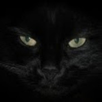 the_black_cat_models