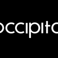 Occipital3DScans