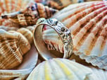 Sea Shell Ring 1 - US-Size 8 (18.19 mm)
