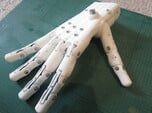 3D Printed Hand Right