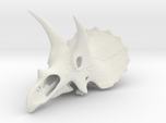 Triceratops skull - dinosaur model
