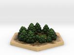 Catan_forest_hexagon