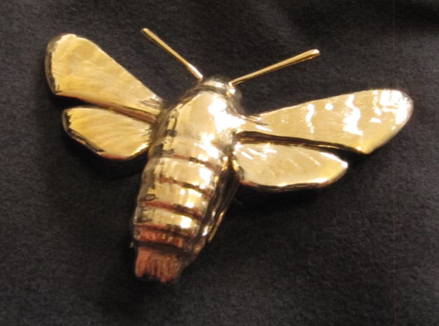 Hummingbird Hawk-Moth Pendant (solid version)