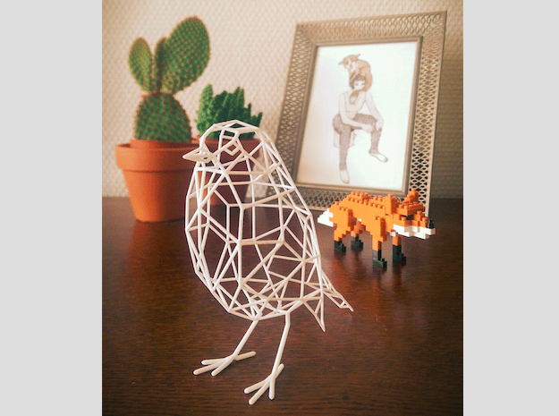 Bird wire frame model (with eyes)
