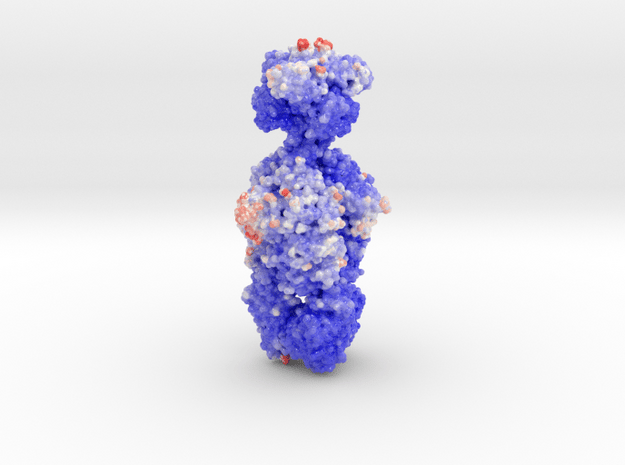 Putative Tailspike Protein of a Bacteriophage 4oj5