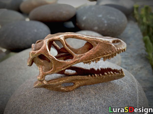 Mini Raptor Dinosaur Skull