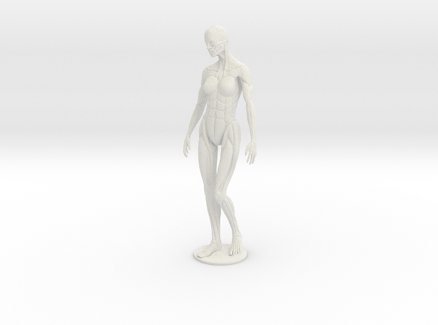 Female form robotic anatomy