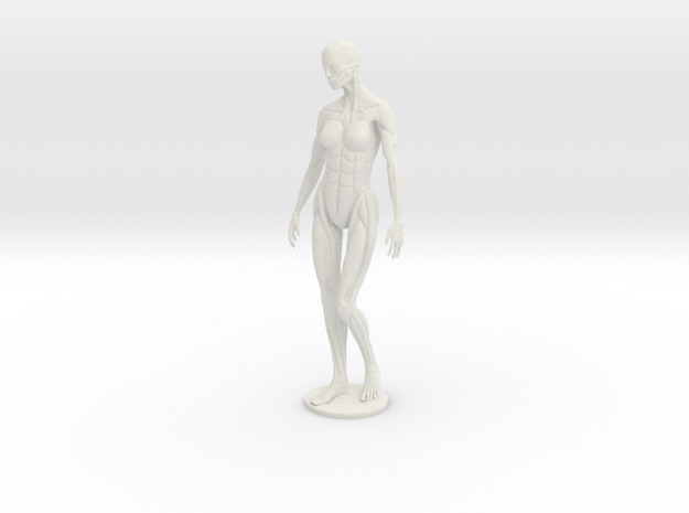Female form robotic anatomy 12cm