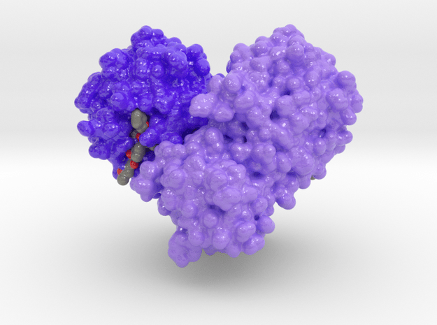 SARS-COV Main Protease 6LU7