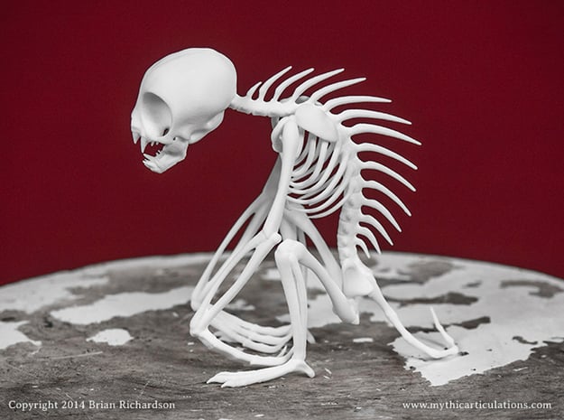 Chupacabra Skeleton 