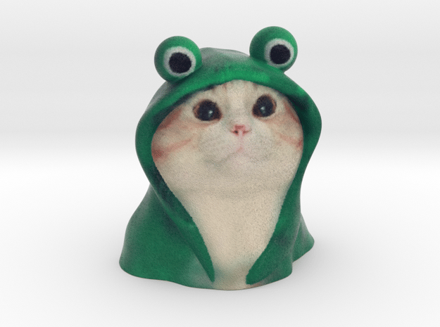 Frog hoodie Cat - internet meme
