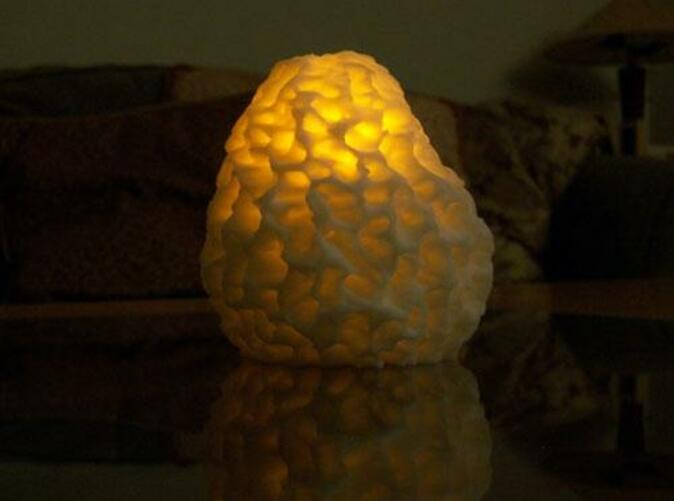 Morel mushroom lit with LED candle.