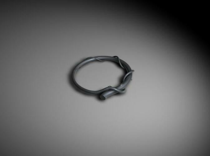 The first image of the ring. Made in 2004