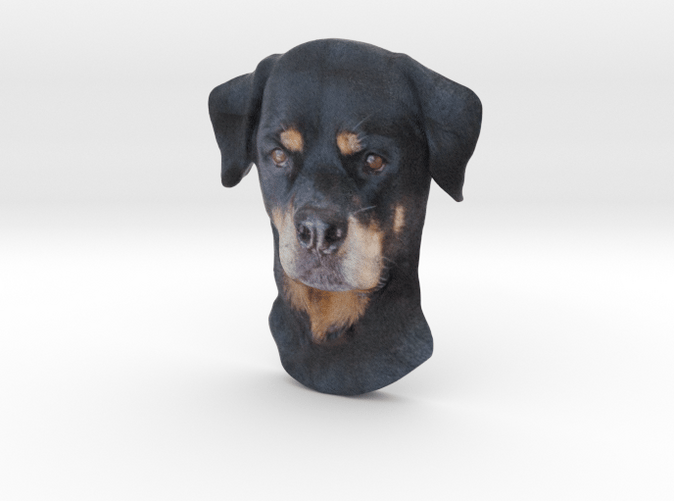 Full color Rottweiler Reliëf