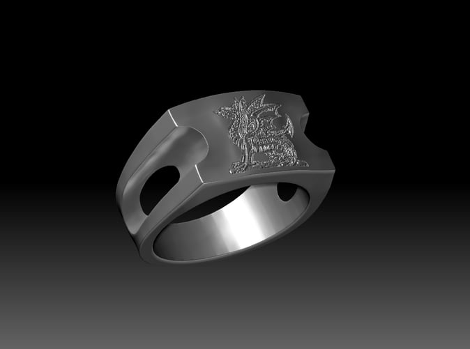 A custom ring. Currently available as a size 10.5