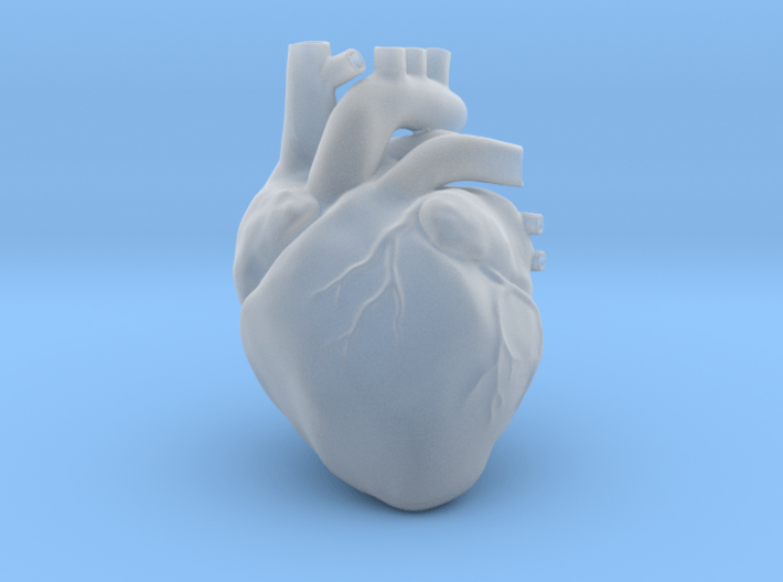 Anatomical Heart 3d printed 
