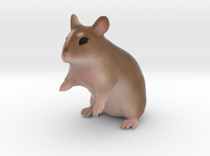 Custom Hamster Figurine - Filly 3d printed