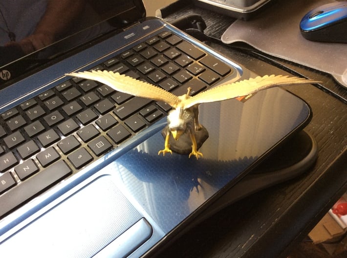 Griffin 3d printed 