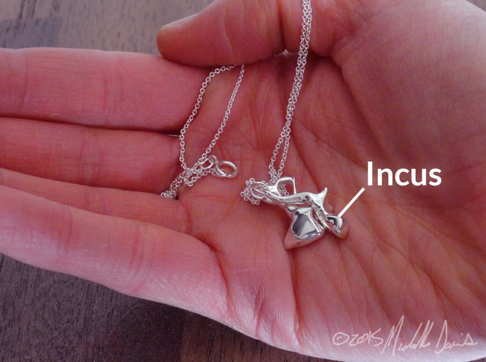 Ossicle Pendant - Incus (right sided) 3d printed IMPORTANT: This listing is for the incus ONLY