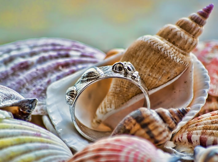 Sea Shell Ring 1 - US-Size 3 1/2 (14.45 mm) 3d printed Seashell Ring in polished silver (shown: size 10)