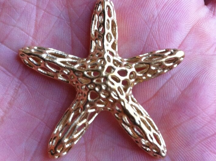 Starfish-voronoi2b Smooth-tr1 Rescaled(0.54) 3d printed 