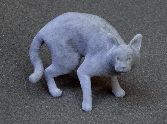 Fearing Gray Chartreux 3d printed