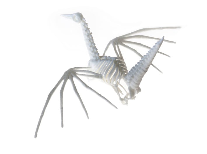 Origami Crane Skeleton 3d printed
