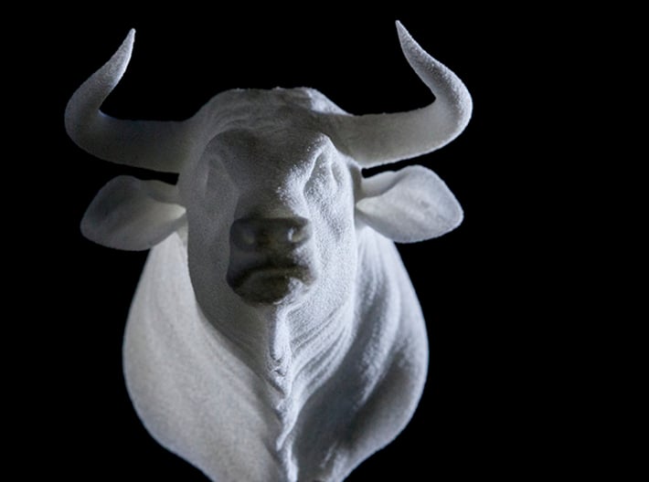 Bull Head 3d printed