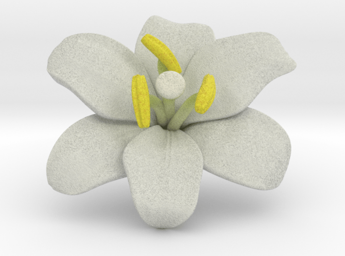 Lily Flower 1 - M 3d printed 