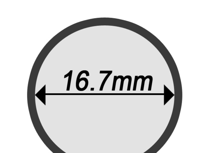 Heart Ring(Inner diameter of ring 16.7mm) 3d printed 