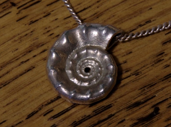Ammonite Pendant 3d printed Printed in silver, on a 2mm chain.