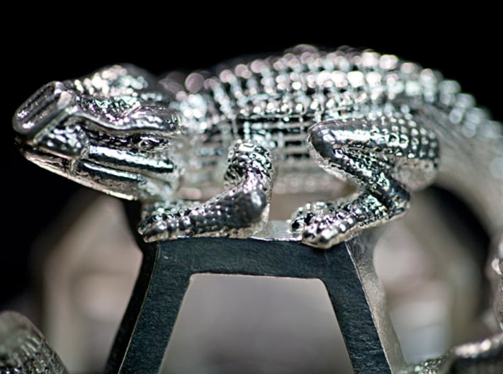 Reptiles & Dodecahedra mini sculpture Fine Art. 3d printed Photo, 'top level lizard' detail.