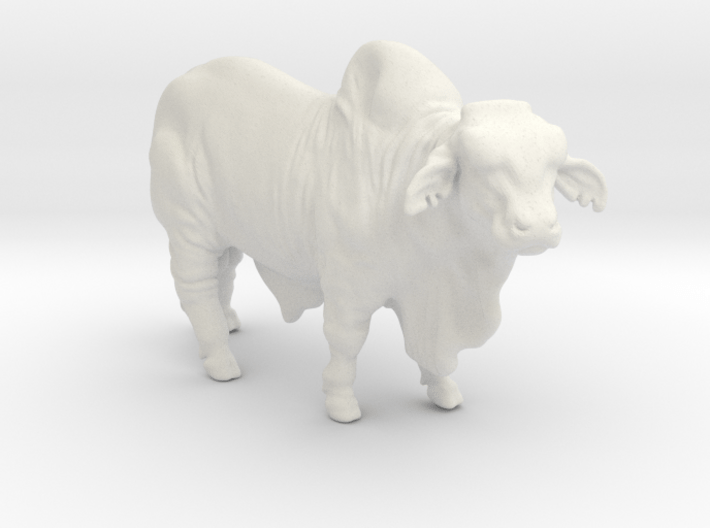Brahma Bull 3d printed