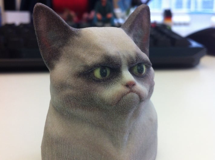 Grumpy Cat Bust 3d printed Picture from mboylevt