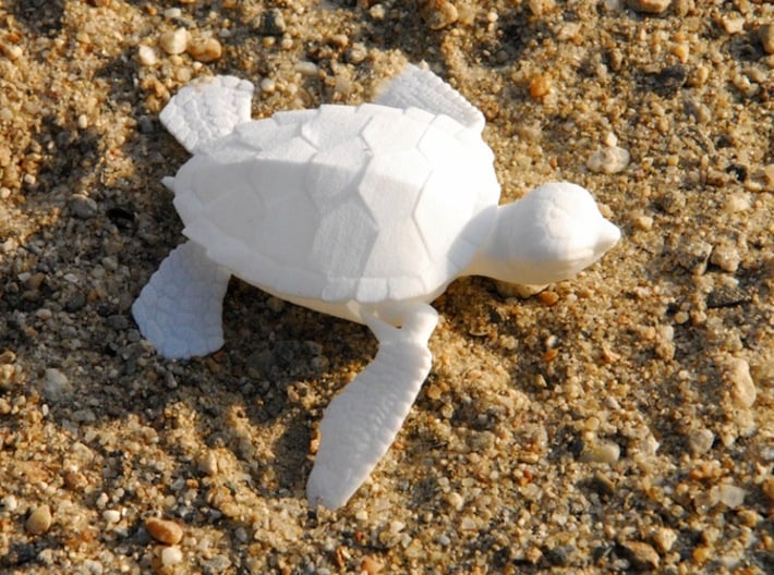 Baby Articulated Sea Turtle 3d printed 