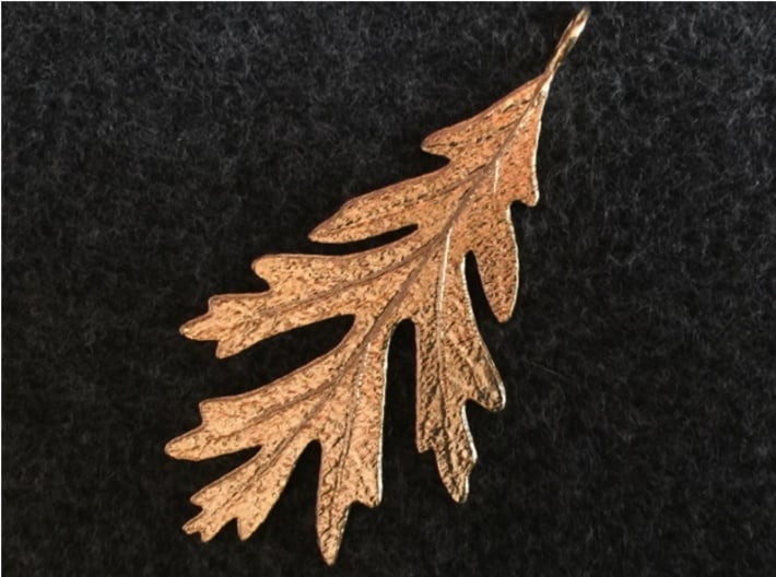 Oak Leaf Pendant 3d printed The oak leaf pendant in raw brass. The design comes from an actual oak leaf. 