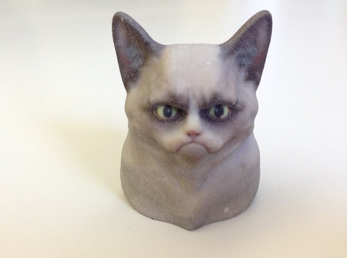 Grumpy Cat Bust 3d printed 