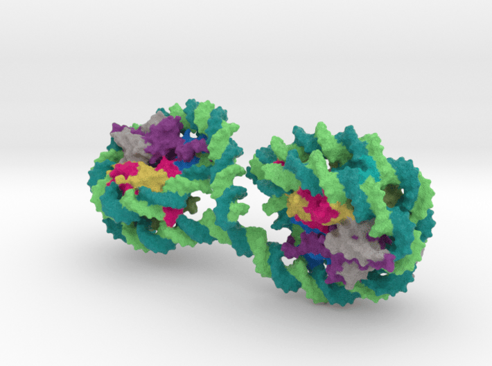 Tetranucleosome 3d printed