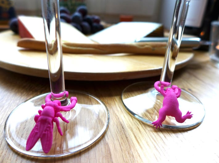 Model Organism Wine Charm Set 3d printed Drosophila and Xenopus