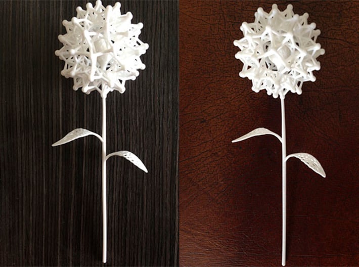 Dandelion Math Art 3d printed Shapeways 3D Print Dandelion Math Art White Strong & Flexible
