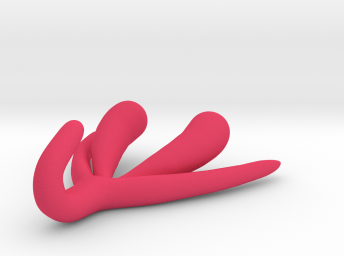 Life-scale Clitoris and Bulbs 3d printed 