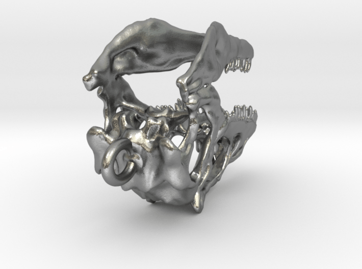 Allosaurus Dinosaur Skull Pendant 3d printed 