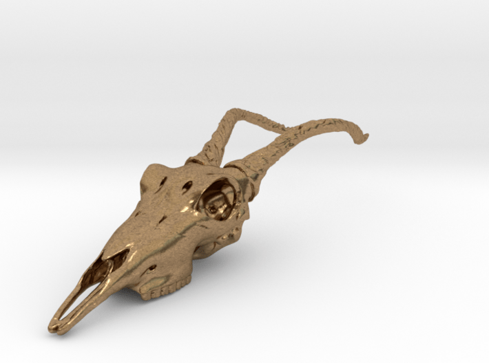 Antelope Skull 3d printed 