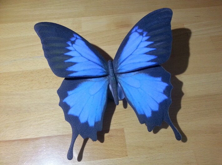 Blue Butterfly 3d printed 