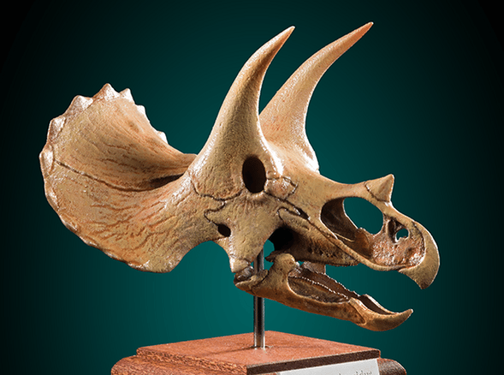 Triceratops Schädel Kopf 23cm Dinosaurier Wandkunst Aufhängen Tafel 