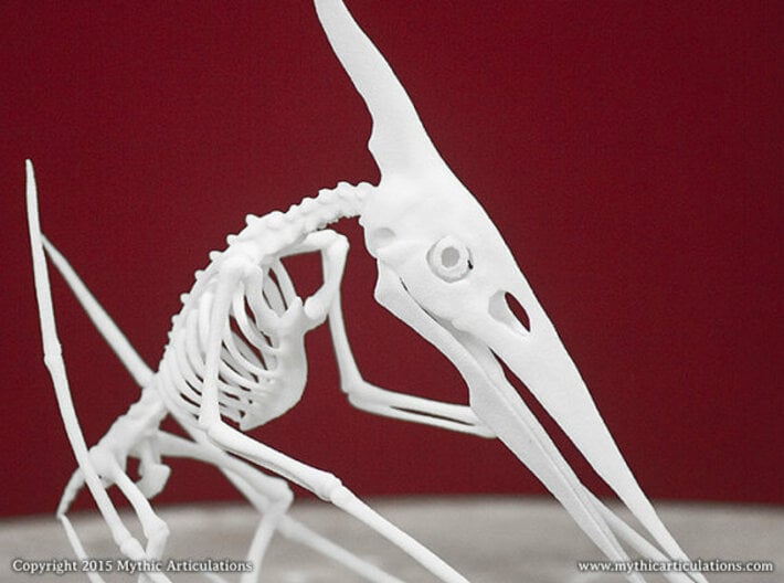 Kongamato Skeleton 3d printed 