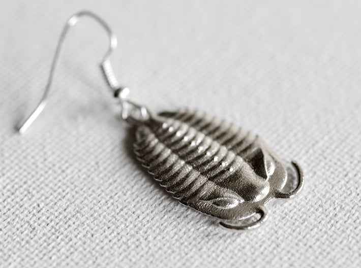 Trilobites Earrings 3d printed Trilobites Earrings in Raw Silver