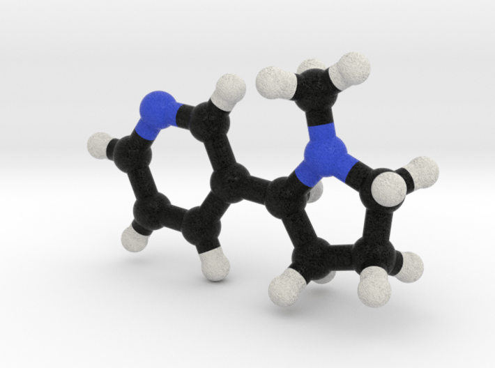 Nicotine Molecule Model. 3 Sizes. 3d printed
