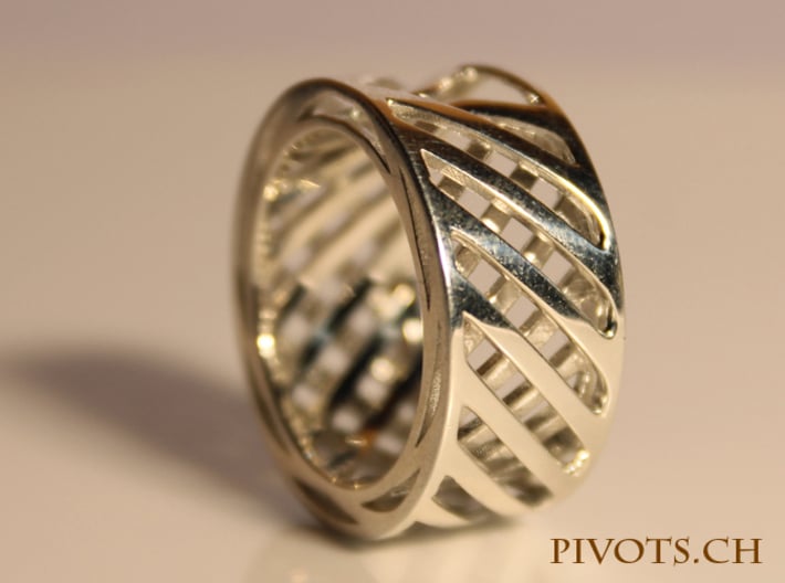 Double Wire Ring 3d printed Premium Silver