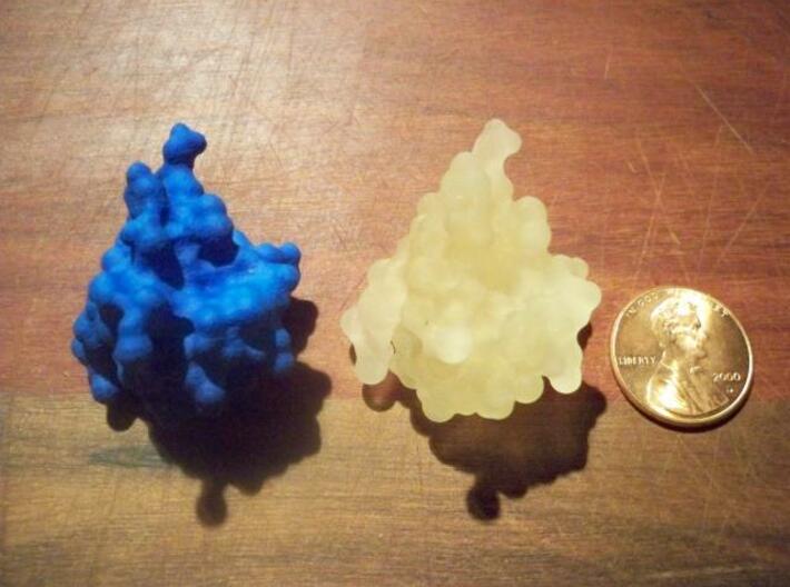 Insulin - Molecular Surface 3d printed Two insulin molecules... one transparent and one in hard blue plastic.